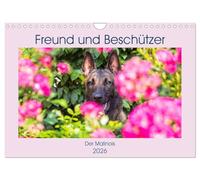 Freund und Beschützer - Der Malinois (Wandkalender 2026 DIN A4 quer), CALVENDO Monatskalender: Der Malinois, ein Allrounder, als Dienst- und Sporthund ... in 12 wunderschönen Fotos vorgestellt