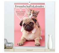 Freundschaftskalender - Katzen und Hunde, beste Freunde in Umarmung (hochwertiger Premium Wandkalender 2026 DIN A2 hoch), Kunstdruck in Hochglanz: ... in Bildern. Perfekt als Geschenk für Freunde.