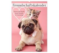 Freundschaftskalender - Katzen und Hunde, beste Freunde in Umarmung (Wandkalender 2026 DIN A2 hoch), CALVENDO Monatskalender: Kalender für Freunde mit ... in Bildern. Perfekt als Geschenk für Freunde.