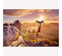 Frewurwer 2X Système de Microphone Sans UHF pour Saxophone, Instruments à Pince, Microphone Radio Professionnel pour Performances sur Scène B