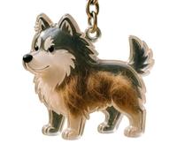 Frfik Porte-clés en poils de chien | Souvenir des cendres d'animaux | Boîte de rangement Pendentif pour porte-monnaie pour femme, homme et enfant, Siehe Beschreibung, contreplaqué, Voir description