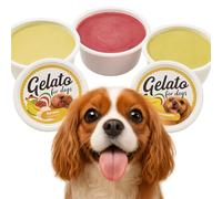 Friandise chien - snack pour chien - friandise pour chien en pot de glace, au goût d'ananas, de banane ou de framboise - variété surprise - peut être commandé à l'unité - Flamingo Gelato crème glacée