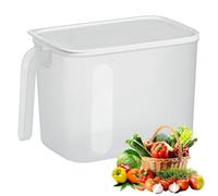 Fridge Organizer Box - Ice Bin, Frosted Clear Container, Handle Lid Basket | Durable Freezer Crate for Drinks Vegetables Home Kitchen Organization Bin Kitchen Use