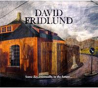 Fridlund, David - Some Day, Eventually