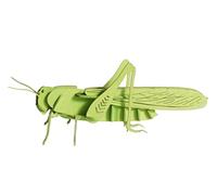 Fridolin Maquette 3D en papier 11608 – Criquet