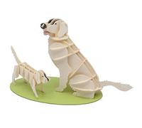 Fridolin Maquette 3D en papier Golden Retriever