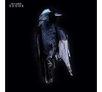 Rico Friebe Shook (CD) Album