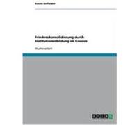 Friedenskonsolidierung durch Institutionenbildung im Kosovo Hoffmann, Karola (Auteur)