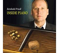 Friedl, Reinhold - Inside Piano