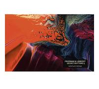Friedman & Liebezeit - Secret Rhythms 5 [Import]