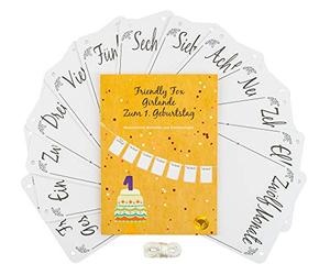 Friendly Fox Guirlande photo pour 1er anniversaire, décoration de chambre d'enfant, jalons de bébé dans la 1ère année de vie, cadre photo