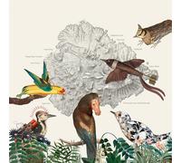 Friendly Rich - The Birds of Marsville [Import]