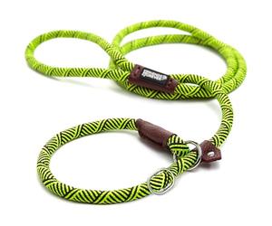 Friends Forever Laisse en Corde pour Chien extrêmement Durable, réfléchissante, épaisse, Robuste, ne Tire Pas, Confortable pour Les Animaux de Compagnie forts, Grands, Moyens et Petits, 1,8 m, Vert