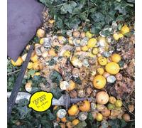 Friends of Gas - La Palma / und All die Hummeln