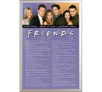 Friends - Poster - Everything I Know + cadre interchangeable, Shinsuke® Maxi aluminium argenté, vitre acrylique