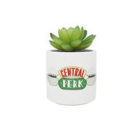 Friends Pot de Fleurs avec Fausse Plante 11,7 cm - Central Perk - Pot de Fleurs d'intérieur - Petit Pot de Fleurs Cadeau