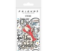 Friends RK38950C Porte-clés en caoutchouc Multicolore