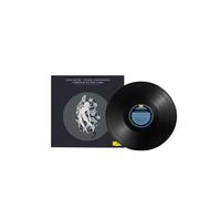 Friendship Survival Guide Vinyle