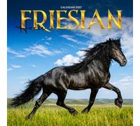 Friesian Horse Calendar 2027: Black Coats and Flowing Manes