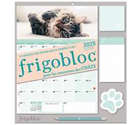Frigobloc Mensuel 2025 Chats (de sept. 2024 à déc. 2025) - Collectif - Play Bac Eds - broché - Calendrier