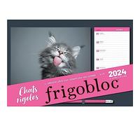 Frigobloc photos Chats rigolos 2024 (de janv. à déc. 2024)