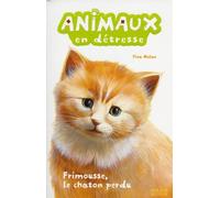 Frimousse, le chaton perdu