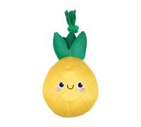 Fringe Jouet Flottant pour Chien Studio avec Corde The Water is Just Pine, Pet Shop Collection (640015)