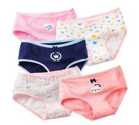 FRINZA Femme Slips Lot de 5 sous-vêtements en Coton for Femmes, Culottes Grande Taille, Slips for Filles, Lingerie Sexy, Culotte for Dames, imprimé Dessin animé, sous-vêtements féminins(12 5pcs,XXL)