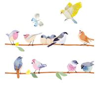 Frise adhésive sticker branche d'oiseaux