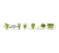 Frise décorative adhésive, motifs herbes aromatique pour un déco cuisine, 9 cm X 300 cm