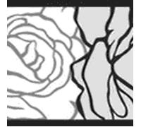 Livingwalls Frise murale autocollante Stick Ups 905024 grisaille noir et blanc 5,00 m x 0,05 m