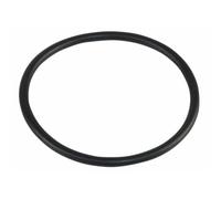 Frisquet – Joint trappe HC – F3AA40754