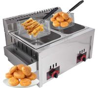 Friteuse à gaz double cylindre, capacité professionnelle de 10 L x 2, friteuse commerciale multifonction avec puissance de chaleur élevée et bouton de contrôle