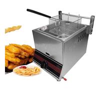 Friteuse à gaz professionnelle double en acier inoxydable avec paniers amovibles pour restaurants et cuisines à domicile
