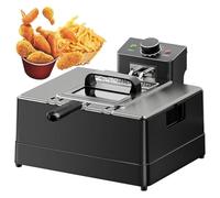 Friteuse Commerciale 220 V avec Panier et Couvercle - 2000 W, capacité 5/10 L, Acier Inoxydable, température réglable for Chips, Frites et Beignets(10l)