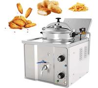 Friteuse Électrique 16 L, 3000 W, Professionnelle, Avec Panier Et Réservoir D'Huile, Idéale Pour La Cuisson Du Poulet Et Du Poisson. Température Réglable De 50 À 200 °C Et Minuterie De 30 Minutes.