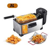 Friteuse Électrique 3L - 2000W - Minuterie et Thermostat, Filtration auto de l'huile - Idéale pour Frites - Friteuse à Huile Inox