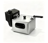 Friteuse électrique en acier inoxydable, Machine à chips de pomme de terre 110V 1500W, friteuse domestique 3L