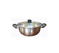 Friteuse inox 26 cm avec couvercle verre bouton bakélie - Tous feux et induction - - Argent / Métallique - Acier Inoxydable (inox)
