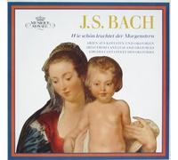 FRITZ LEHMANN - bach: wie schon leuchtet der morgenstern / christ lag in todesbanden LP