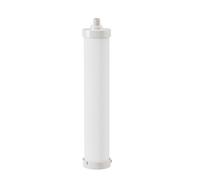 Frizzlife DSFPP Cartouche filtrante de rechange pour système de filtre à eau en acier inoxydable TS99