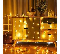 Froadp 100m Guirlandes Lumineuse Exterieur 1000 LEDs Filet Lumineux Noël Chaîne de Lampes avec 8 Modes d'éclairage & Fonction de Mémorisation & EU-Prise IP44 pour mariage Fête (Blanc chaud)