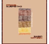 Frode Gjerstad & Sabir Mateen - Good Question