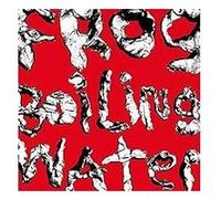 Diiv – Frog in Boiling Water – Vinyle LP 12" (Universal Music Group)