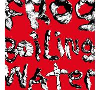 Frog in Boiling Water by DIIV [CD] NEUF