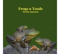 Frogs And Toads Of North America Kids Book