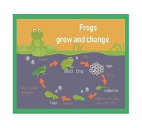 Frogs Grow And Change Mind Map Educational Poster For Kids English Teaching Tool And School Wall Chart Reference(Unframed,16x24inch(40x60cm))