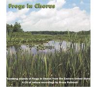 Frogs in Chorus