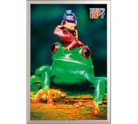 Frogs - Poster - Colours + cadre interchangeable, Shinsuke® Maxi aluminium argenté, vitre acrylique