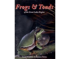 Frogs & Toads of the Great Lakes Region (Local Wildlife Awareness Series)